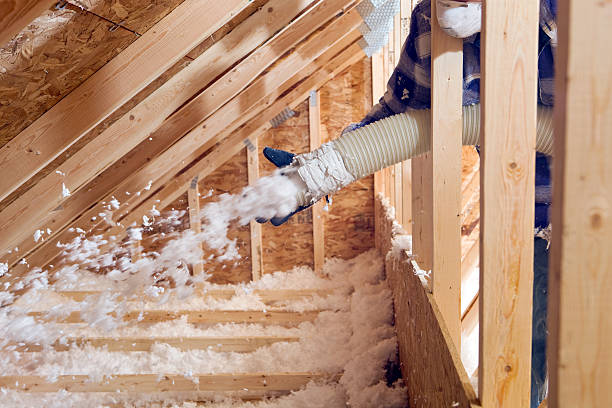 Trusted Johnson, AR Insulation Removal & Installation Experts